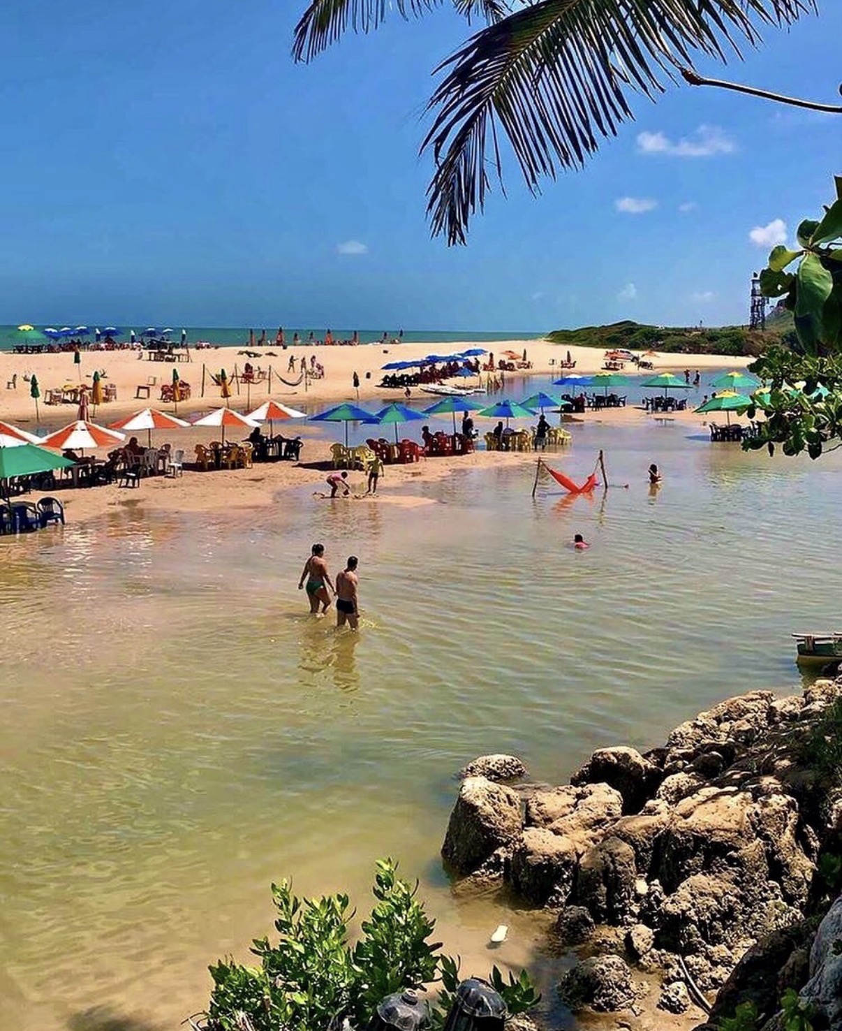 Praia com falésias e coqueiros no Litoral Sul II