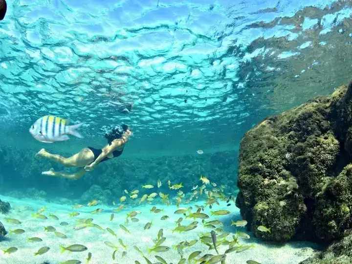 Mergulho nas Piscinas Naturais dos Seixas