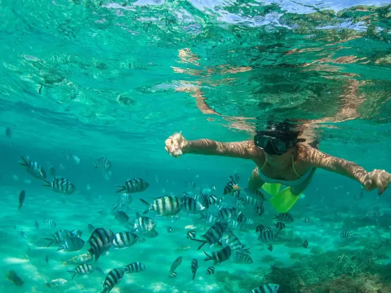 Snorkel em águas cristalinas